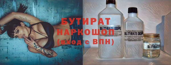 СК Ельня