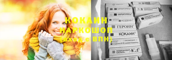 СК Ельня