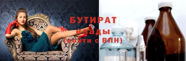 СК Ельня