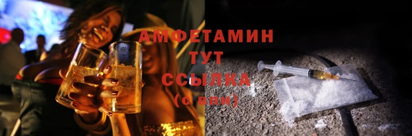 СК Ельня