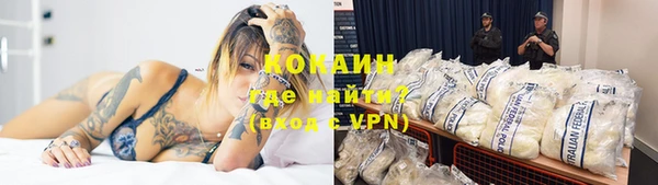 СК Ельня