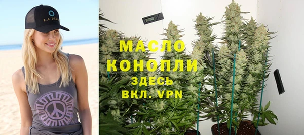 СК Ельня