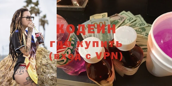 СК Ельня