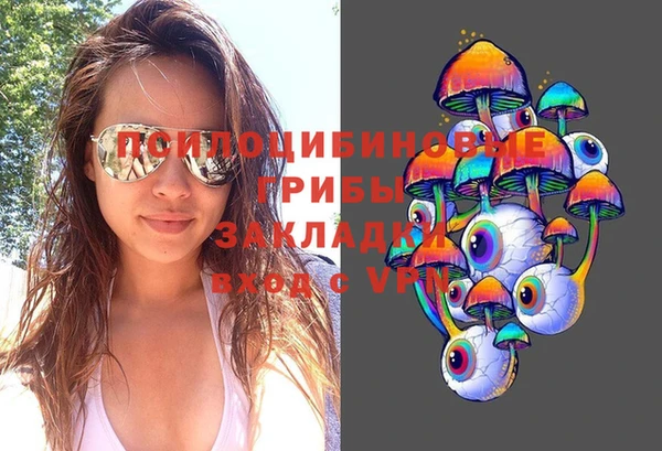 СК Ельня