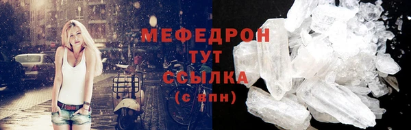 СК Ельня