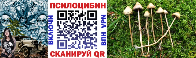Псилоцибиновые грибы Psilocybine cubensis  Купить где  Усть-Лабинск 